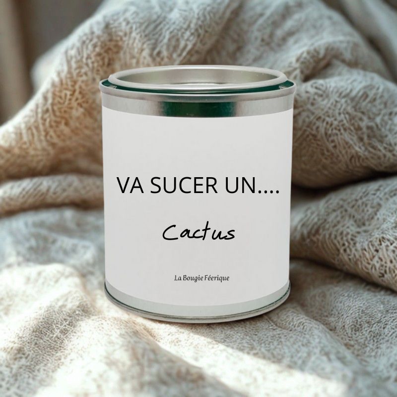 Bougie Personnalisée "Va Sucer un Cactus", la bougie est disposée dans une ambiance cocooning.