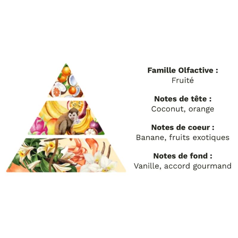 Coffret Bougie à Décorer Ami Fidèle, détails du parfum pet de singe de la bougie, senteur florale et sur fond blanc.