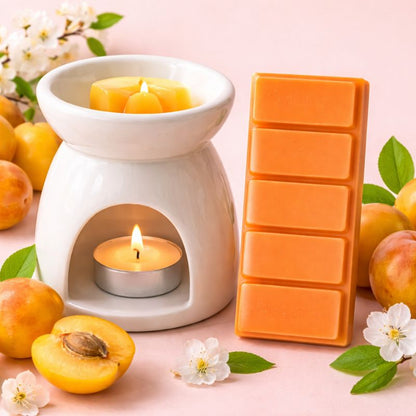 Fondant Parfumé Mirabelle Snapbar orange avec brûle parfum et mirabelles ambiance fruitée et chaleureuse décoration intérieure.